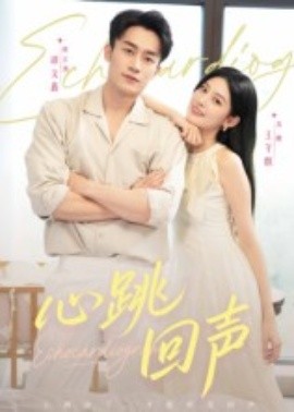 心跳回声
